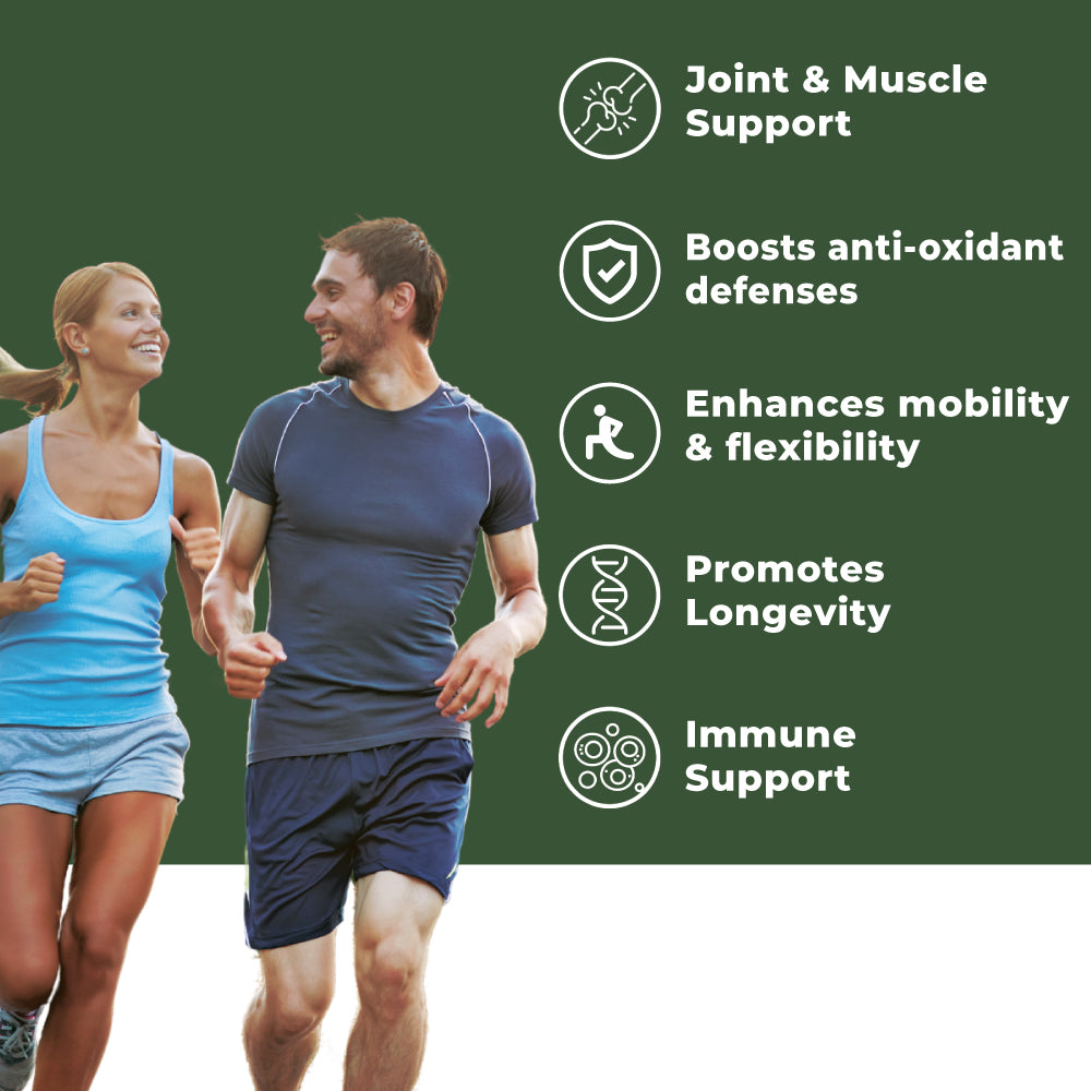 Lonu Joint & Muscle Support